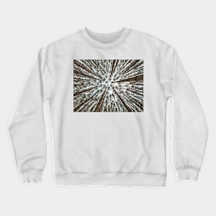 The Spot Crewneck Sweatshirt